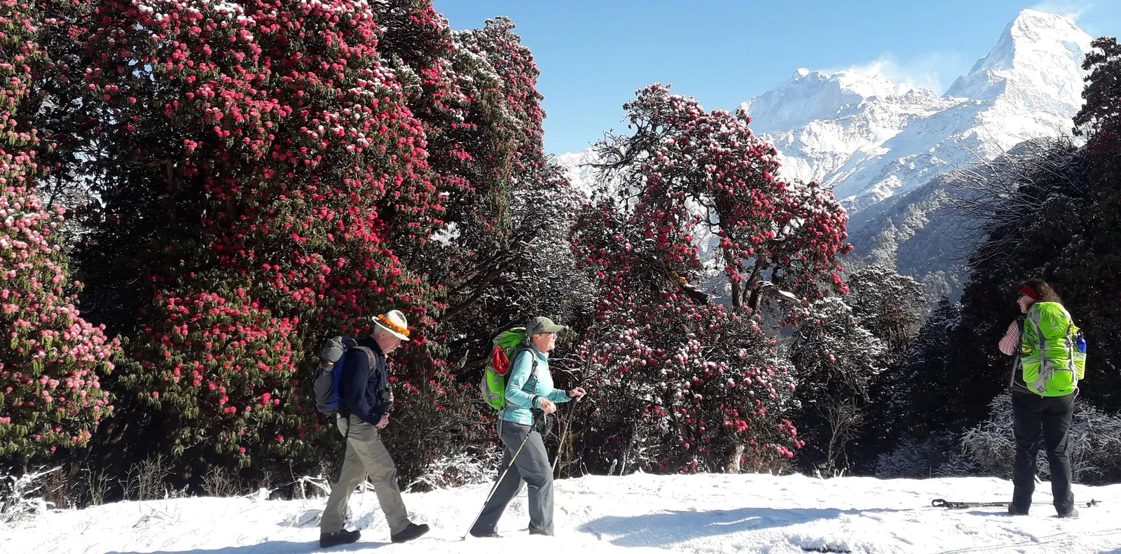 Annapurna Expedition