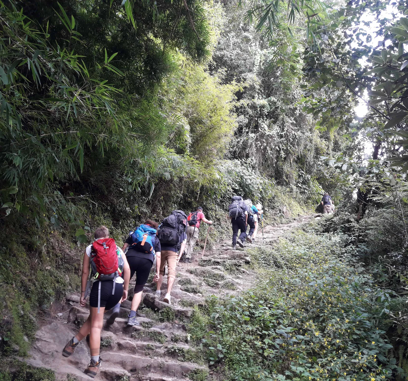Mardi Himal Trekking